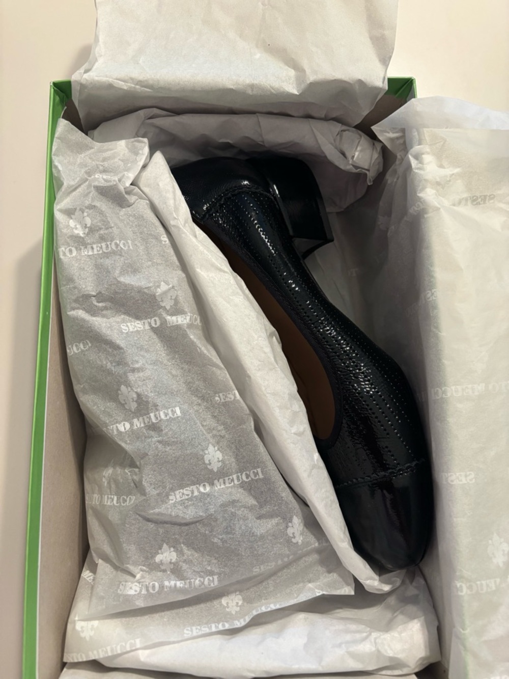Sesto Meucci Black and Bright Green Shoe Box